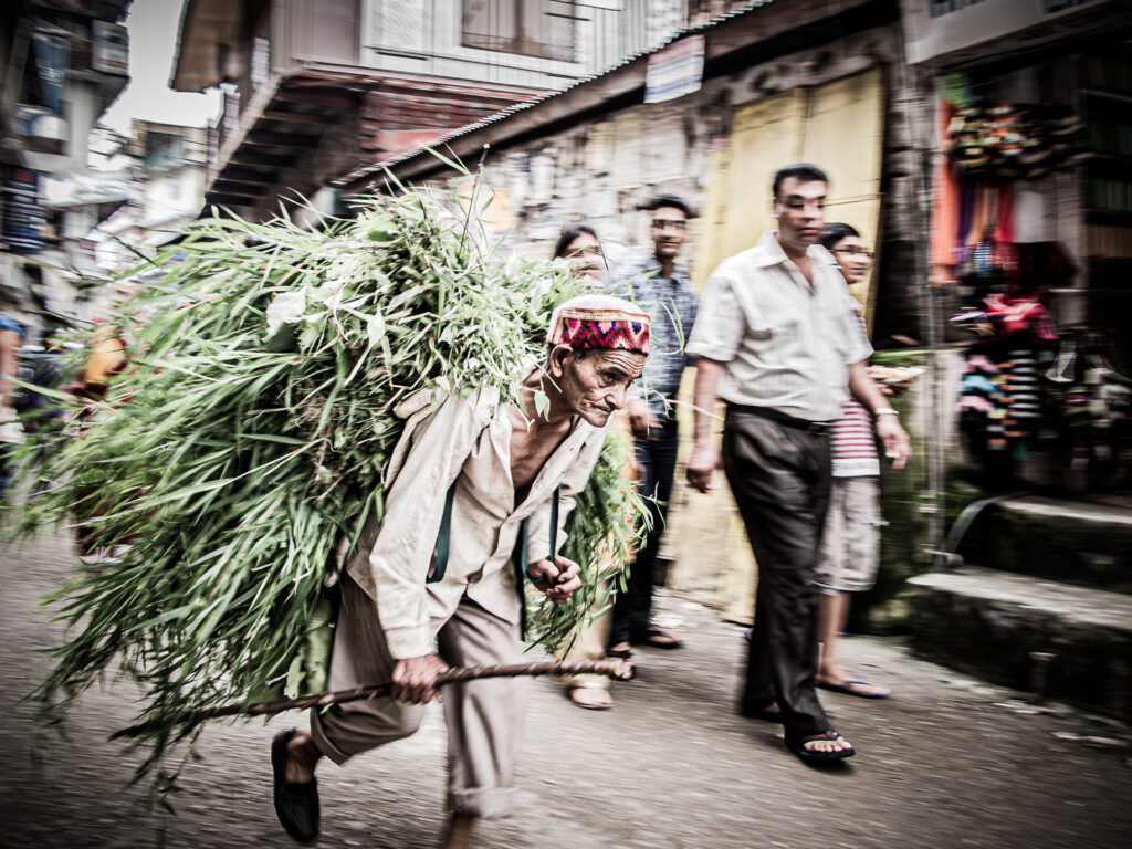 01 - India - 1IMG_0850