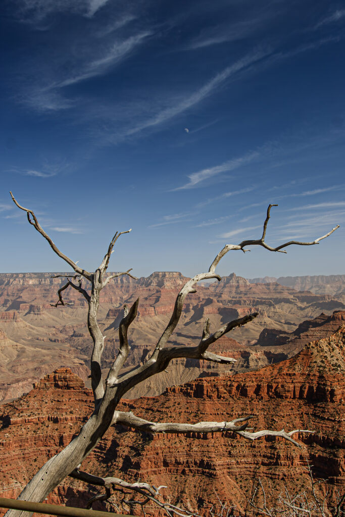 02 - USA - 2_MG_2050
